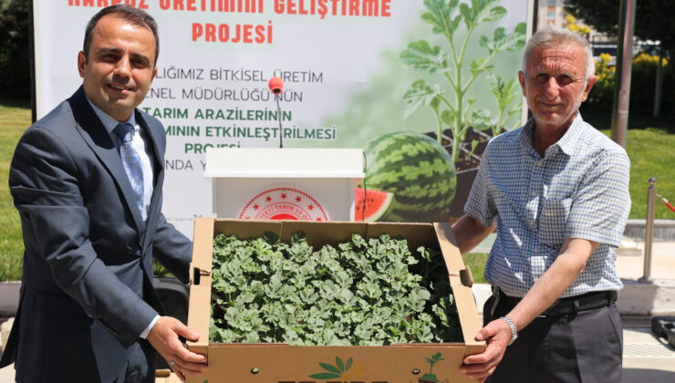 Çiftçilere karpuz fidesi dağıtıldı