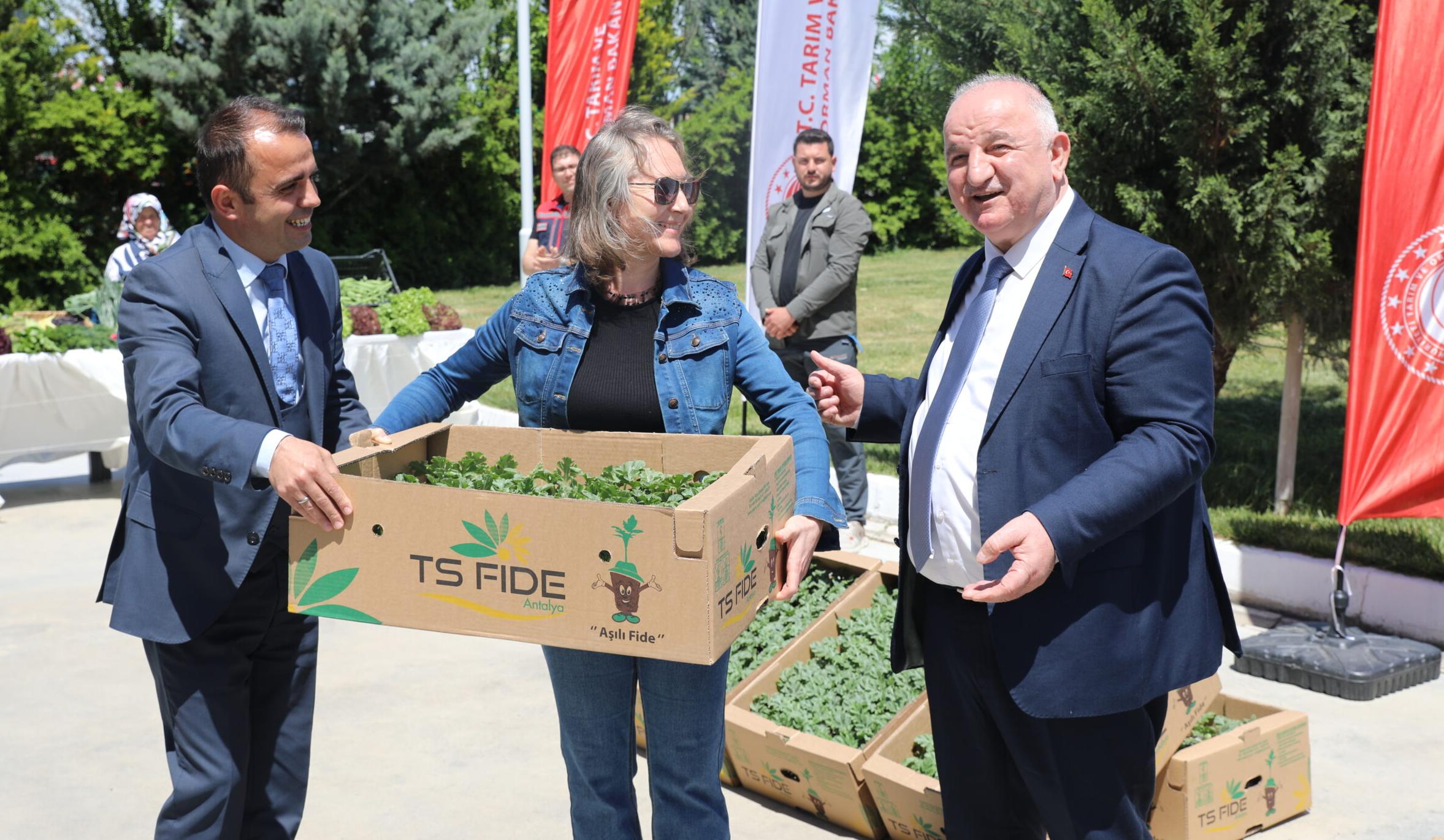 Çiftçilere karpuz fidesi dağıtıldı