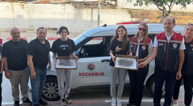 Edirne’de ipek böceği yetiştirilecek