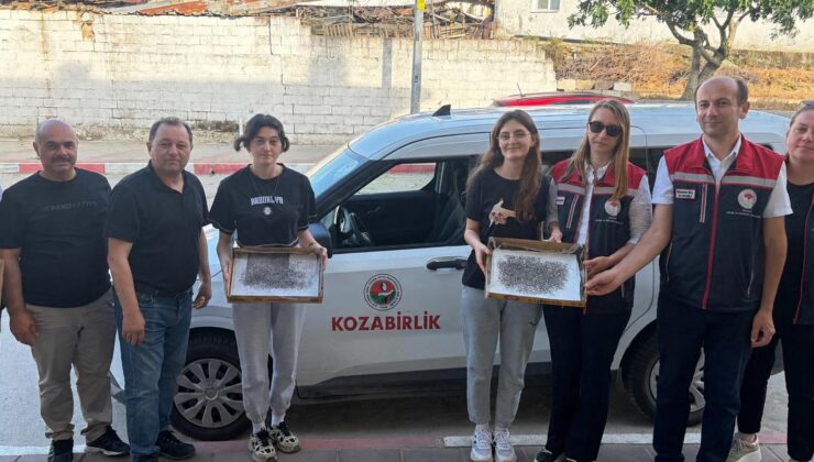 Edirne’de ipek böceği yetiştirilecek