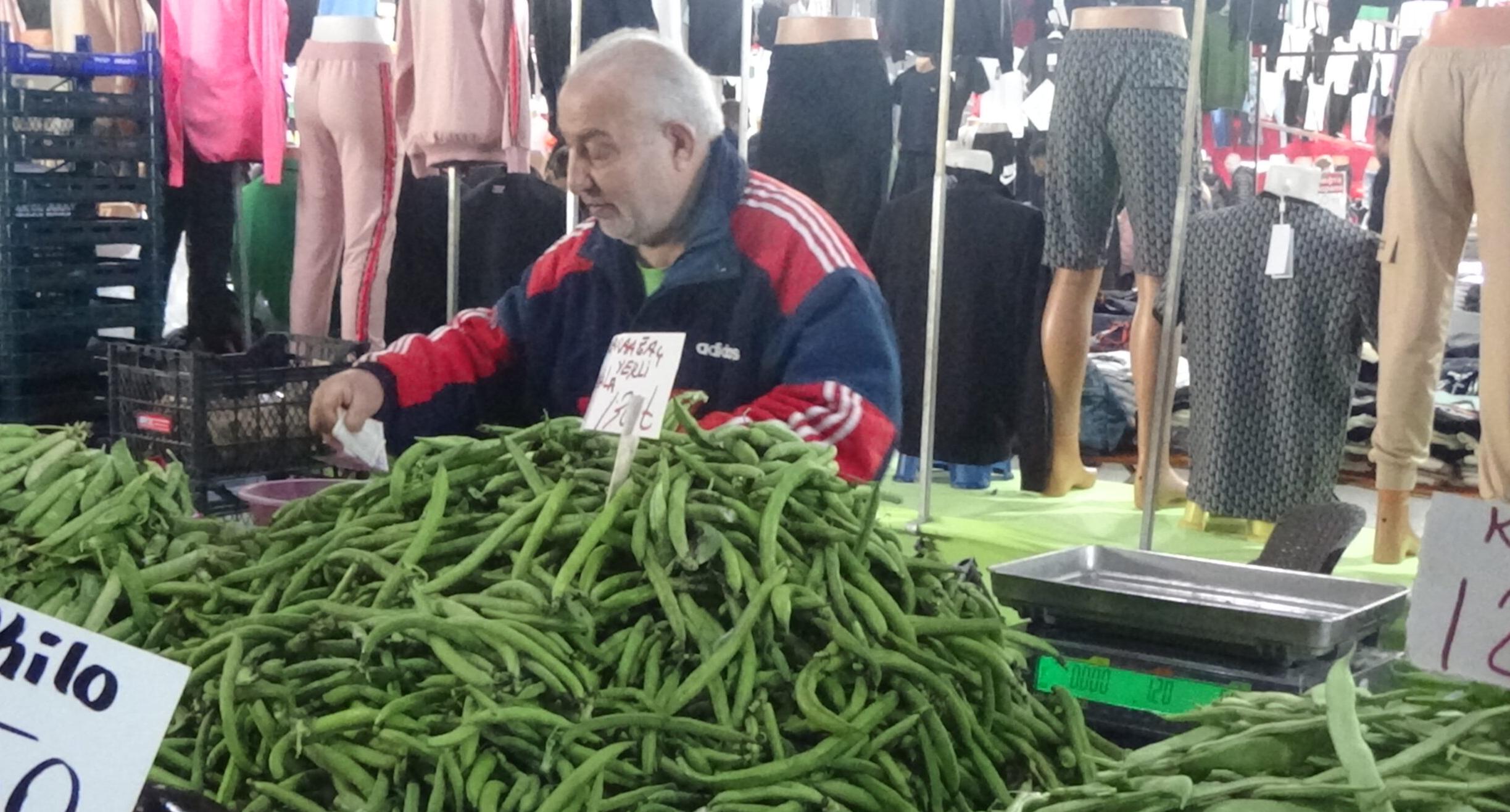 Karaağaç baklası ateş pahası