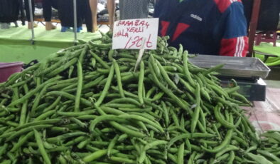 Karaağaç baklası ateş pahası