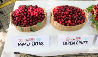 En iyi kiraz belli oldu