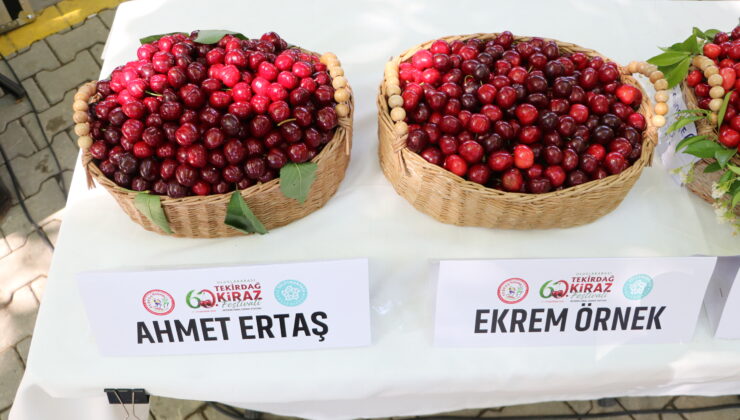En iyi kiraz belli oldu