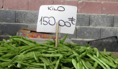 Karaağaç fasulyesine rağbet