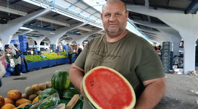 Karpuzda yarım dönemi