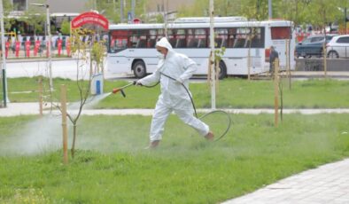Belediyeden sivrisinekle mücadele