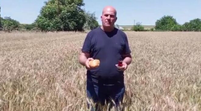Buğday tarlasına ekmek ve çayla geldi