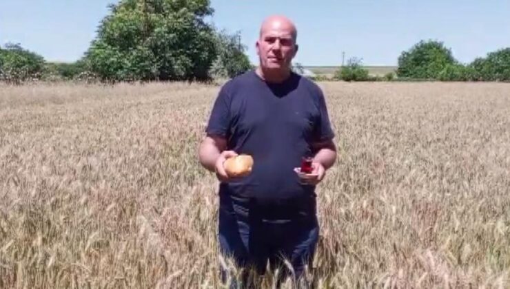 Buğday tarlasına ekmek ve çayla geldi