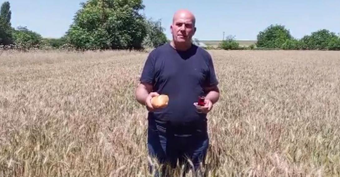 Buğday tarlasına ekmek ve çayla geldi