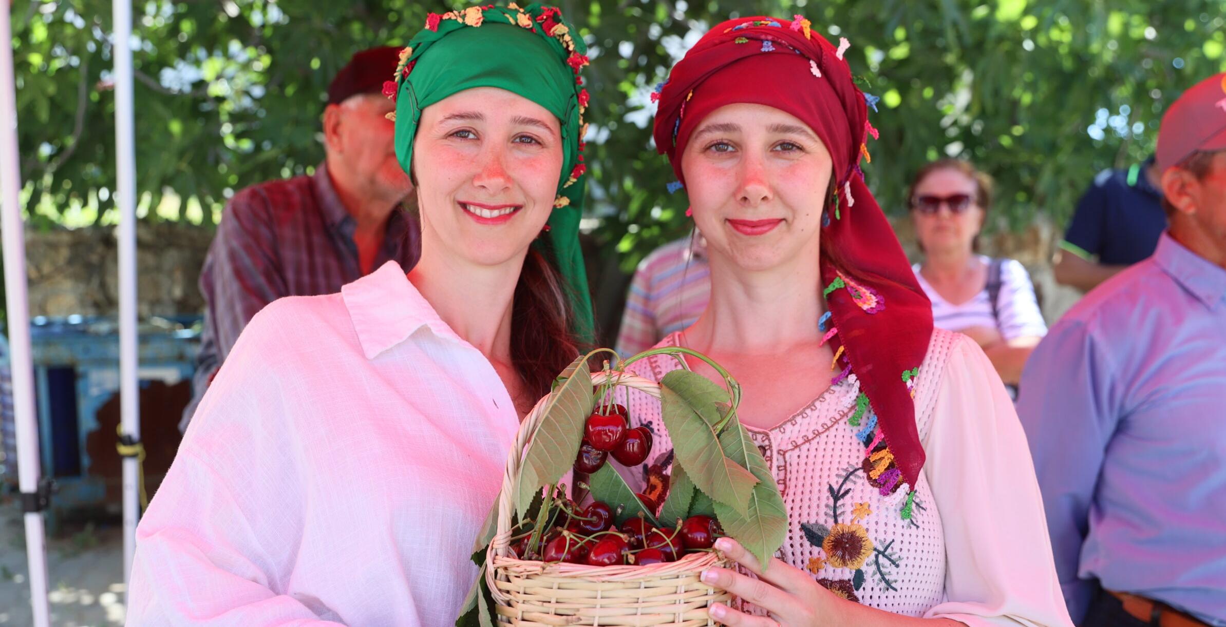 Çeribaşı kirazında hasat zamanı