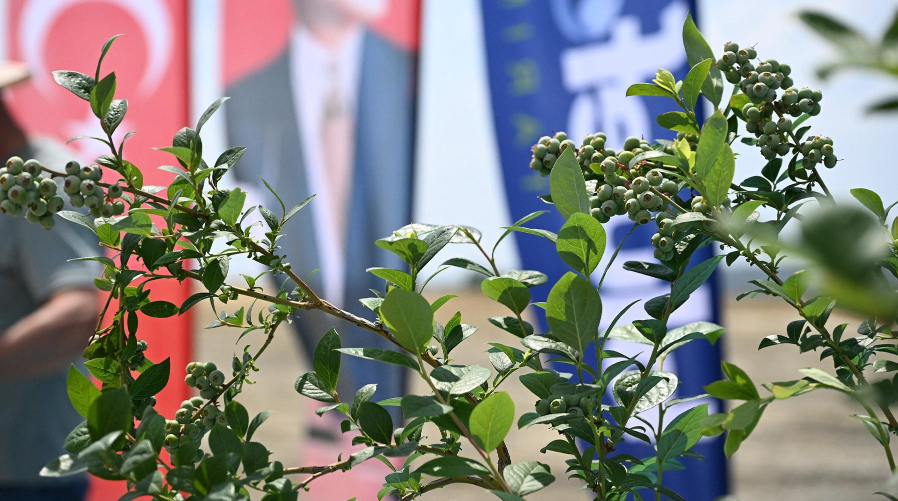 İpsala’ya 4,5 milyon avroluk yatırım
