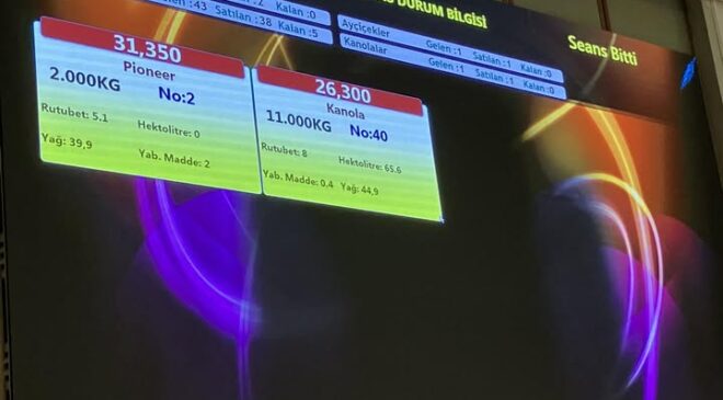 Buğday fiyatını ikiye katladı!