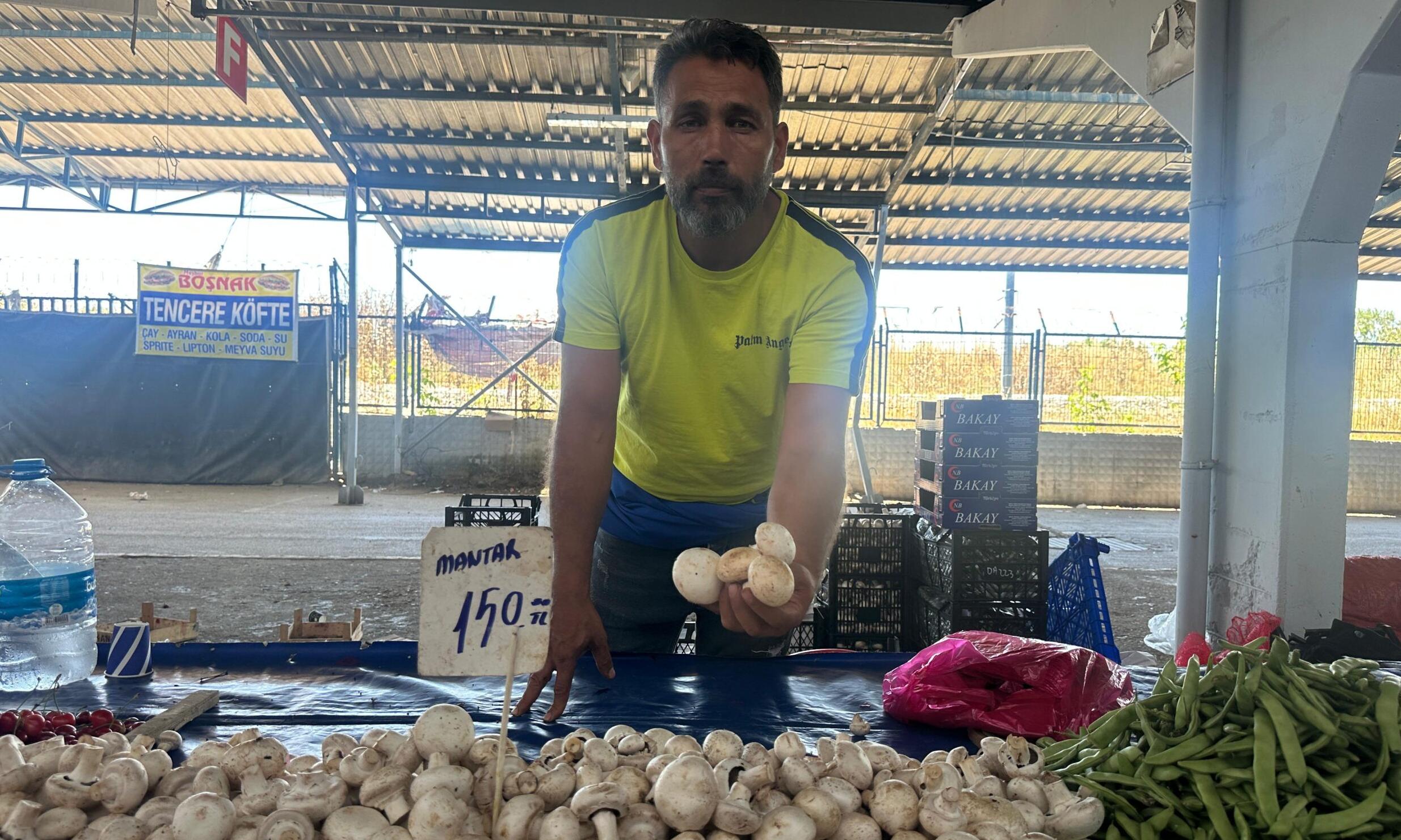 Mantar cep yakıyor