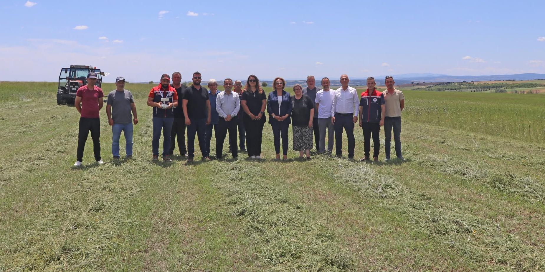 Meralarda ilk biçim