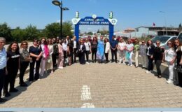 Sınırları aşan eğitim