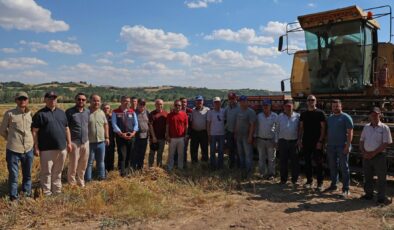 Yeni yulaf çeşitleri hasat edildi