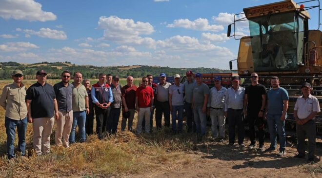 Yeni yulaf çeşitleri hasat edildi