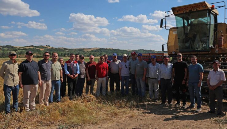 Yeni yulaf çeşitleri hasat edildi