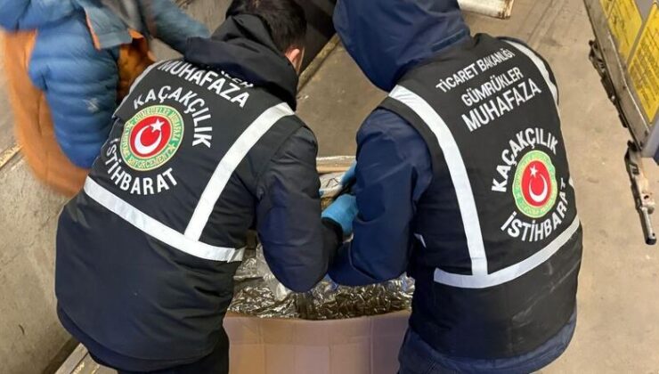 Zehir tacirlerinin kabusu oldular