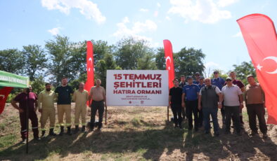 Hatıra ormanına bakım yapıldı