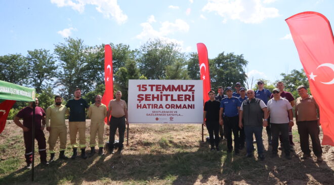 Hatıra ormanına bakım yapıldı