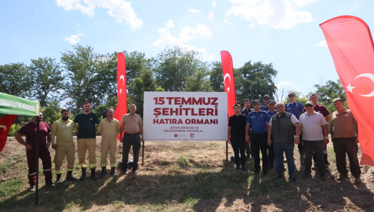 Hatıra ormanına bakım yapıldı