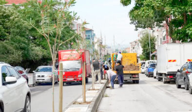 Kıyık Caddesi’nin yeni yüzü