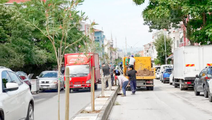Kıyık Caddesi’nin yeni yüzü