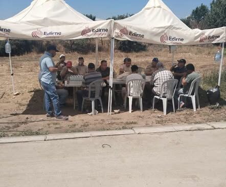Üreticinin çilesine ‘gölge’ oldu