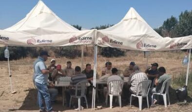 Üreticinin çilesine ‘gölge’ oldu