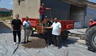 İlk ayçiçeği borsada satıldı