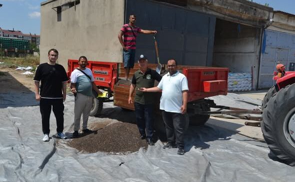 İlk ayçiçeği borsada satıldı
