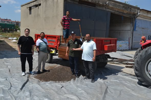 İlk ayçiçeği borsada satıldı
