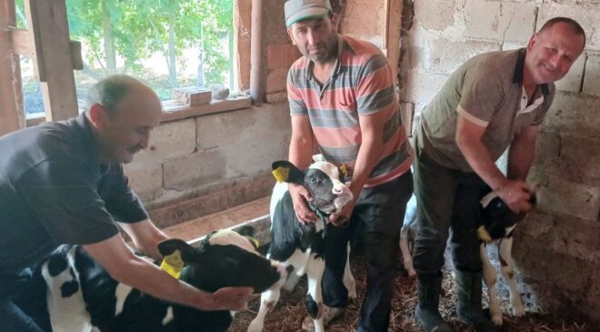Besicinin üçüz mutluluğu
