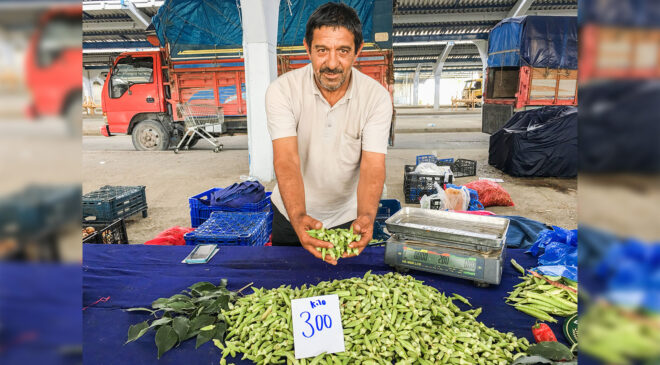 Bamya 300 liradan tezgaha çıktı