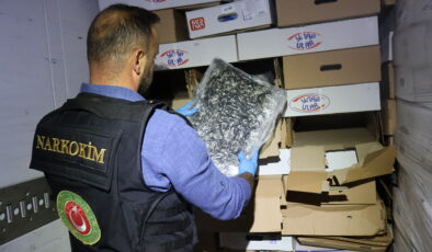 Tavuk eti yüklü TIR’dan uyuşturucu çıktı
