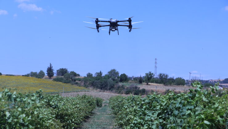Bağlarda dronla üzerine çalışma