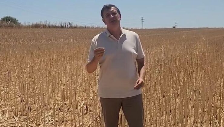 ‘Üretici yine kandırıldı’