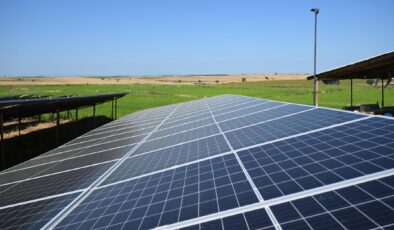 Güneş paneliyle bedava sulu tarım