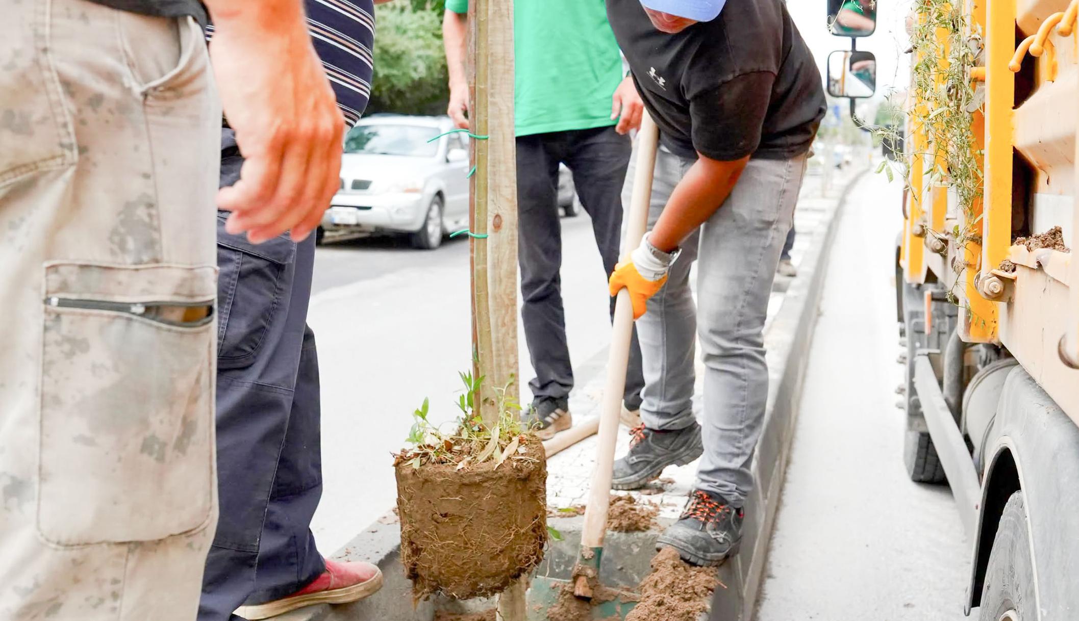 Kıyık Caddesi’nin yeni yüzü