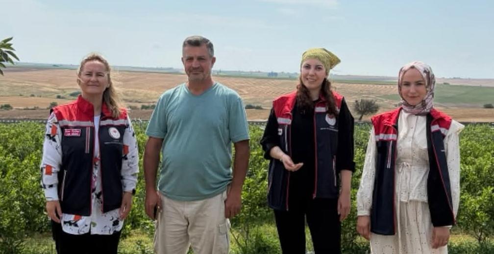 Mavi yemişte hasat zamanı