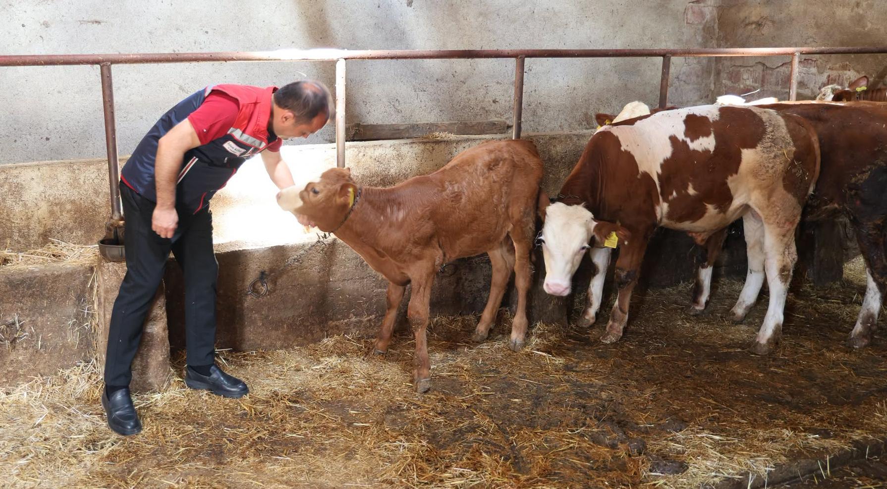 Örnek yetiştiriciye ziyaret