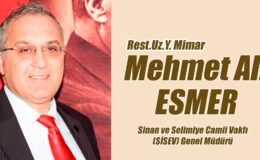 RESİMDEKİ GÖZYAŞLARI