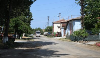 Sahipsiz köpeklerin toplanması memnuniyetle karşılandı