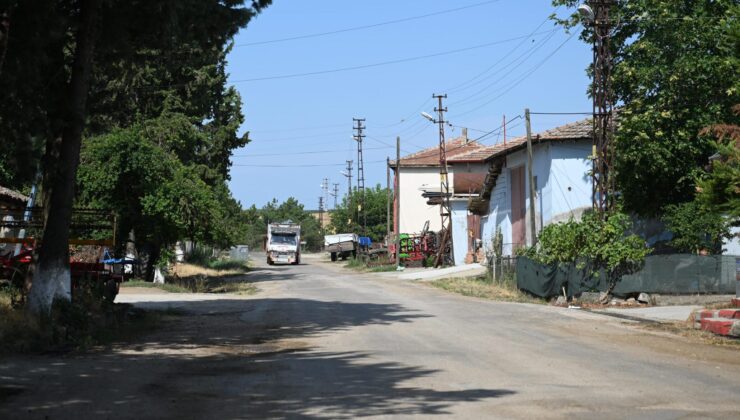 Sahipsiz köpeklerin toplanması memnuniyetle karşılandı