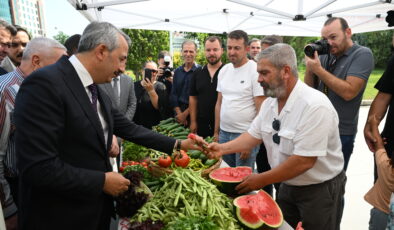 Kapalı sera alanı 106 bin metrekareye ulaştı