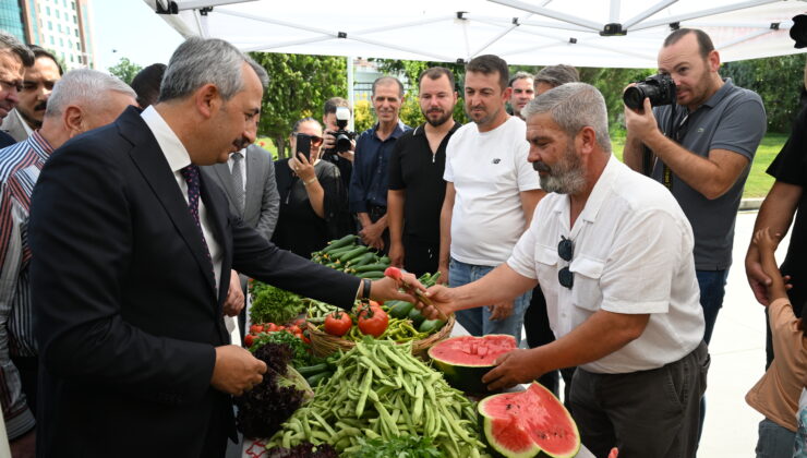 Kapalı sera alanı 106 bin metrekareye ulaştı