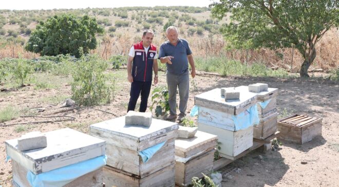 Arı yetiştiricilerine destekleme