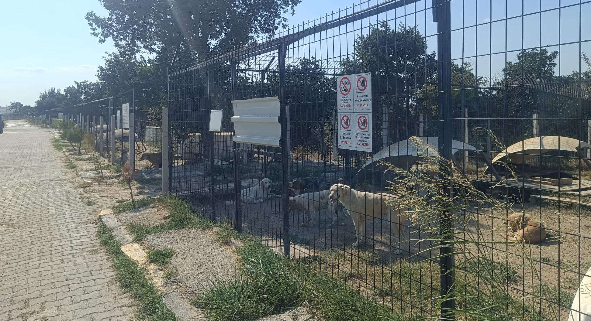Binlerce cana ev sahipliği yapıyor